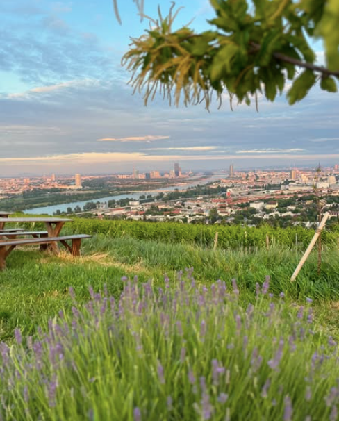 Weinwandern