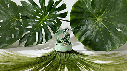 Mint – frisch, modern, einfach wau