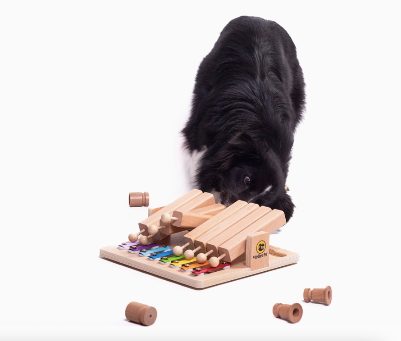 Schnüffel-Lernspiel Piano