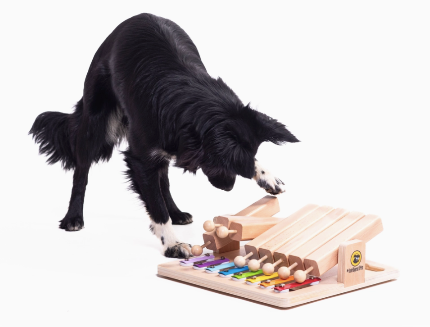 Schnüffel-Lernspiel Piano