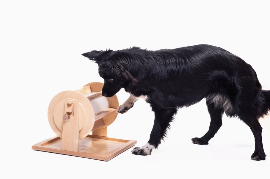 Schnüffel-Lernspiel Glücksrad