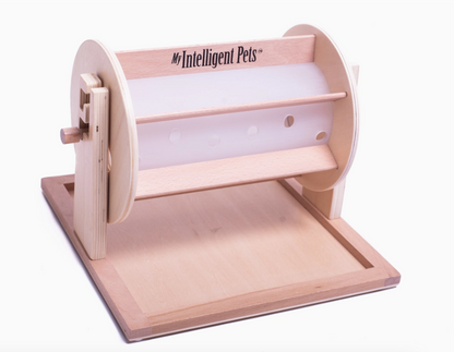 Schnüffel-Lernspiel Glücksrad