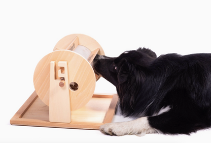 Schnüffel-Lernspiel Glücksrad