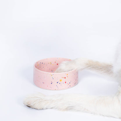 Hundenapf Keramik "Party-Bowl"