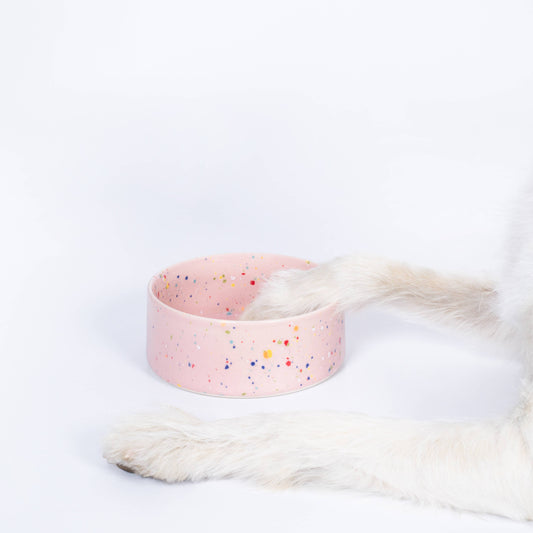 Hundenapf Keramik "Party-Bowl"