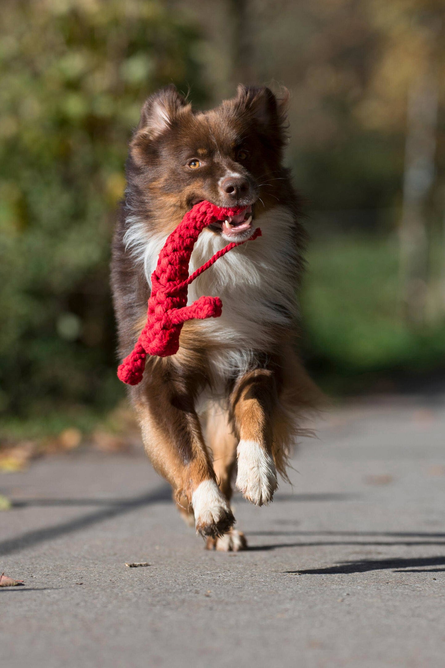 Hugo Hummer senior